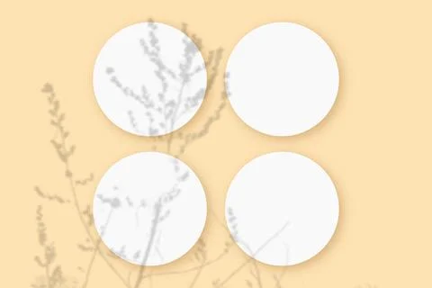 Mockup with vegetable shadows superimposed on 4 round sheets of textured white Stock Illustration