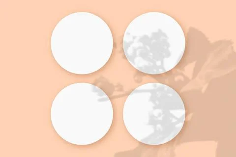Mockup with vegetable shadows superimposed on 4 round sheets of textured white Stock Illustration