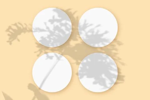 Mockup with vegetable shadows superimposed on 4 round sheets of textured white Stock Illustration