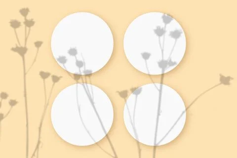 Mockup with vegetable shadows superimposed on 4 round sheets of textured white Stock Illustration