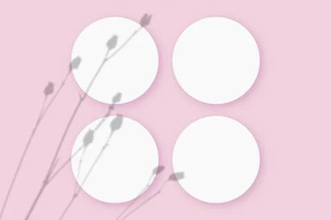Mockup with vegetable shadows superimposed on 4 round sheets of textured white Stock Illustration