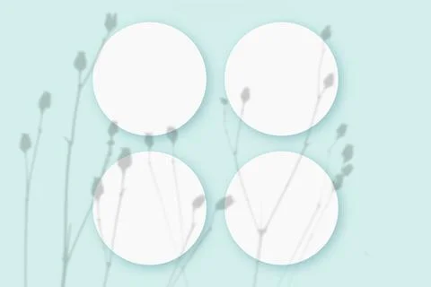 Mockup with vegetable shadows superimposed on 4 round sheets of textured white Stock Illustration