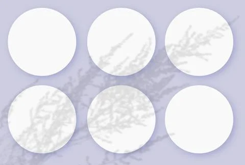 Mockup with vegetable shadows superimposed on 6 round sheets of textured white Stock Illustration