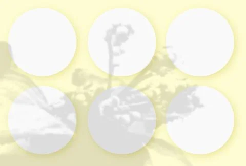 Mockup with vegetable shadows superimposed on 6 round sheets of textured white Stock Illustration