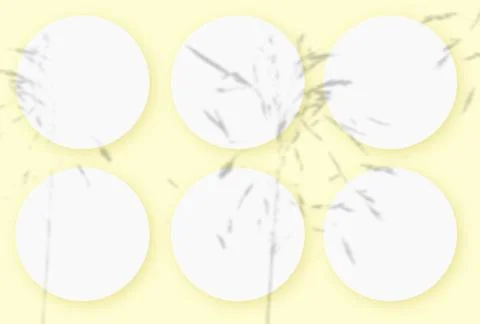 Mockup with vegetable shadows superimposed on 6 round sheets of textured white Stock Illustration