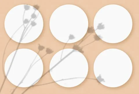 Mockup with vegetable shadows superimposed on 6 round sheets of textured white Stock Illustration