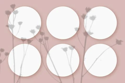 Mockup with vegetable shadows superimposed on 6 round sheets of textured white Stock Illustration