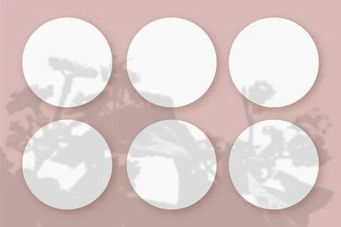 Mockup with vegetable shadows superimposed on 6 round sheets of textured white Stock Illustration