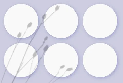 Mockup with vegetable shadows superimposed on 6 round sheets of textured white Stock Illustration