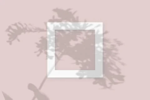 Mockup with vegetable shadows superimposed onsquare frame of textured white Stock Illustration