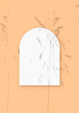 Mockup with vegetable shadows superimposed on a sheet in the shape of an arch of Illustrazione stock