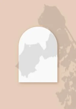 Mockup with vegetable shadows superimposed on a sheet in the shape of an arch of Stock Illustration
