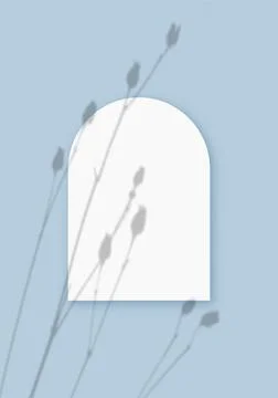 Mockup with vegetable shadows superimposed on a sheet in the shape of an arch of Stock Illustration