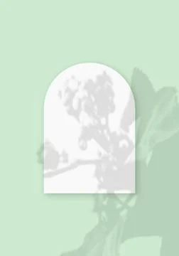 Mockup with vegetable shadows superimposed on a sheet in the shape of an arch of Ilustração Stock
