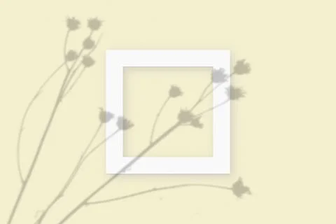 Mockup with vegetable shadows superimposed on square frame of textured white Illustrazione stock
