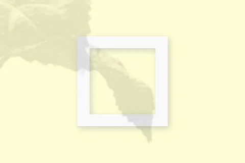 Mockup with vegetable shadows superimposed on square frame of textured white Stock Illustration