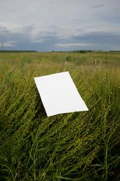 Mockup of white A4 sheet on background of green plants and field Stock Photos