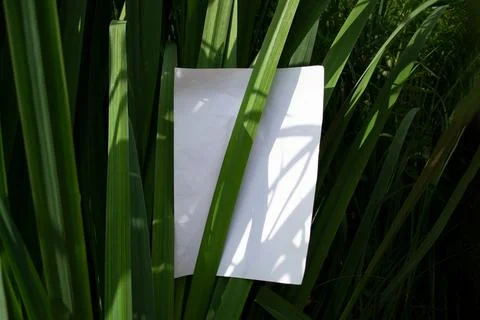 Mockup of a white A4 sheet on a background of green leaves . Foto stock