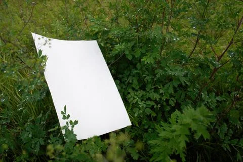 Mockup of white A4 sheet on background of green vegetation, bush branches Foto stock