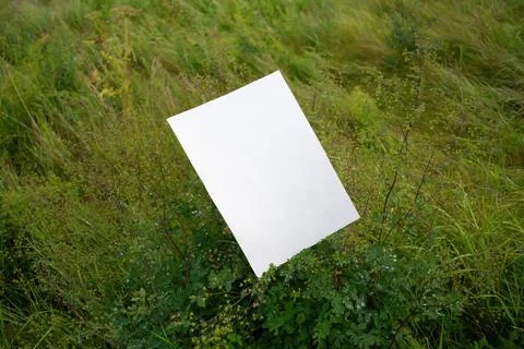 Mockup of white A4 sheet on background of green vegetation, bush branches Stock Photos