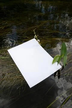 Mockup of white A4 sheet on the surface of water on the background of river Stock Photos
