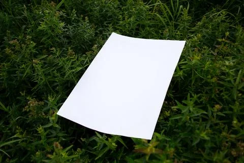 Mockup of white A4 sheet on thick green floral background with blurred focus Stock Photos