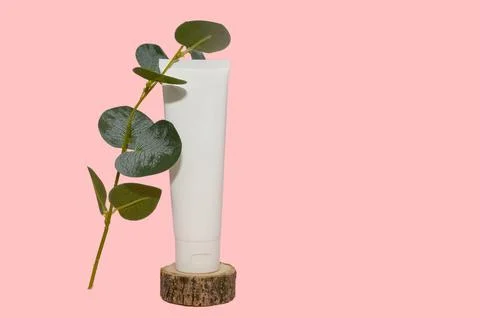 Mockup white container and eucalyptus branch. On a pink background. Stock Photos