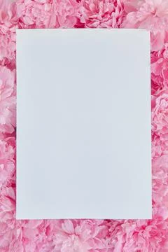 Mockup is a white sheet of paper with space for text on a floral pink background Stock Photos