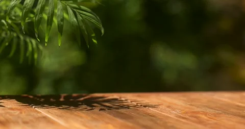 Mockup wooden table outside in summer, palm, splash water. Stock Footage 246877286