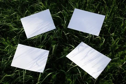 Mockups of of four white A4 sheets on green grass in with scattered focus Stock Photos
