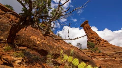 MoCo Tracking Time Lapse of Boynton Canyon Vortex in Sedona, Arizona  Stock Footage 64728861