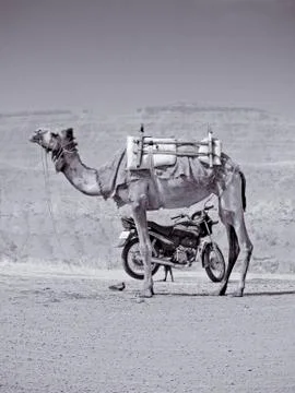 Mode of transport, concept Stock Photos