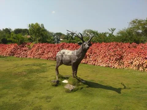 Modeal of Deer Stock Photos