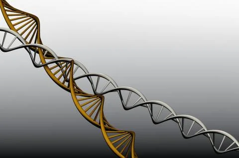 Model 3 d of twisted dna. Stock Illustration