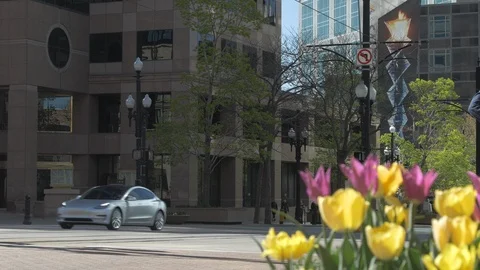Model 3 drives by buildings with spring flowers Stock-Footage 93412432