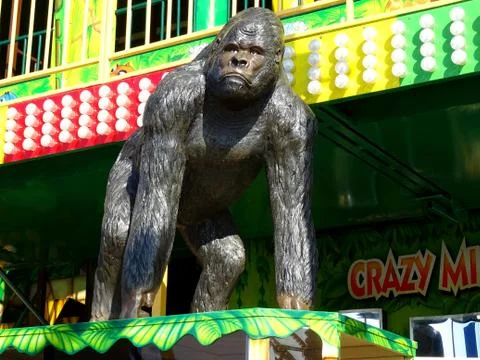 Model Apes Body Stock Photos