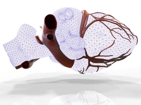 Model of artificial human heart 3d rendering Stock-Illustration