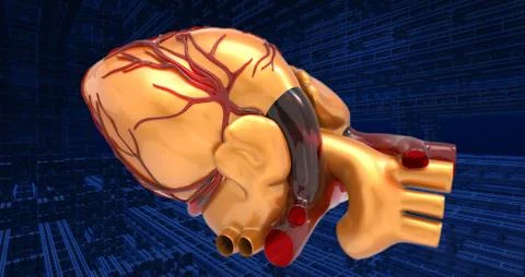 Model of artificial human heart 3d rendering Stock Illustration