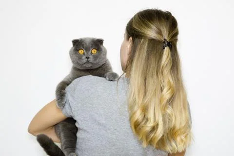 The model is back to the camera and keeps the cat in the hands of the left Stock Photos