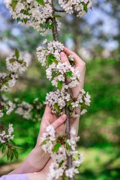 Model in blossoming trees Stock Photos