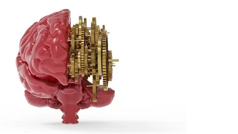 The model brain look real shape in left hand side and gold mechanic gear in r Illustration