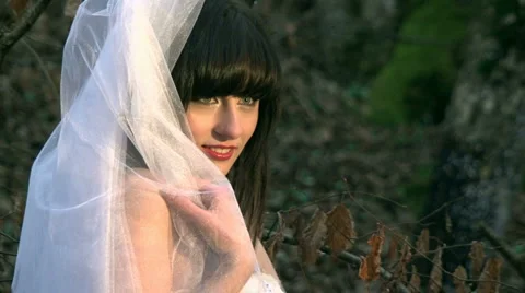 Model Bride Stock Footage 4292947