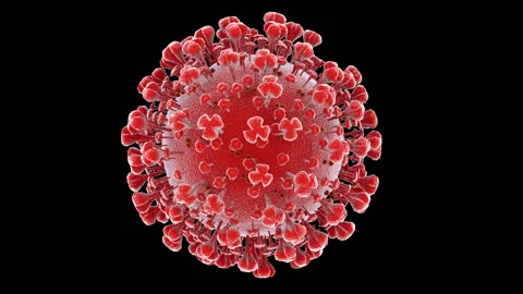 Model coronavirus covid 19 on a white background with place for information Stock Footage
