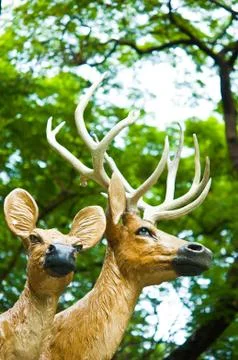 The model of deer with tree as background Stock Photos