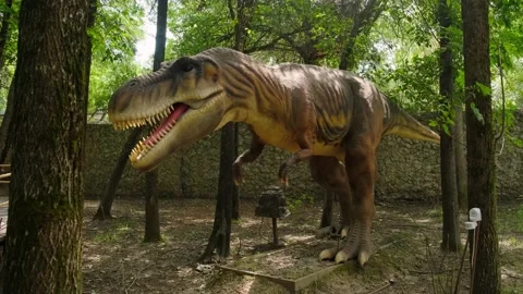 Model of a dinosaur Stock Footage 137656072