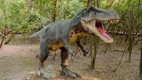 Model of a dinosaur Stock Footage 160343432