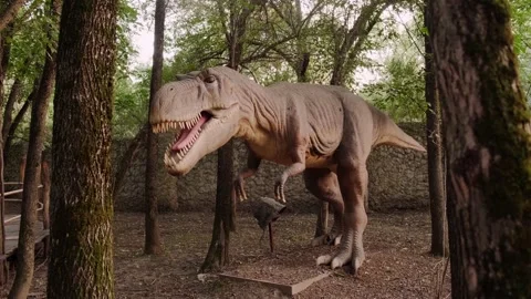 Model of a dinosaur Stock Footage 160344075