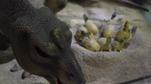 Model of dinosaur guarding the laying of eggs with hatching small dinosaurs Video stock 101766673