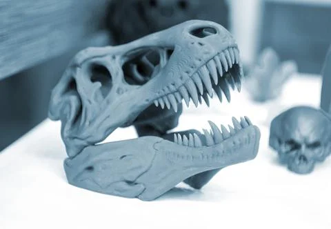 Model dinosaur skull printed on 3d printer. Stock Photos