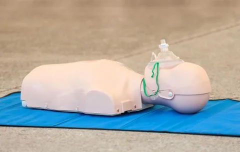 Model of dummy used for CPR training 写真素材
